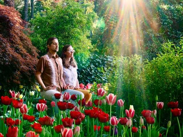 The programs featured image