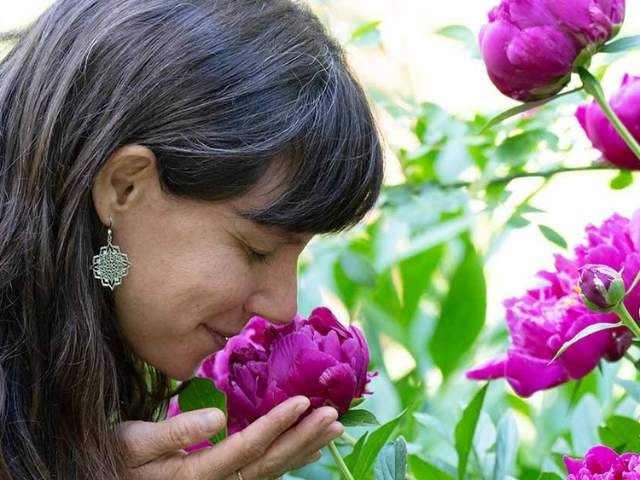 The programs featured image